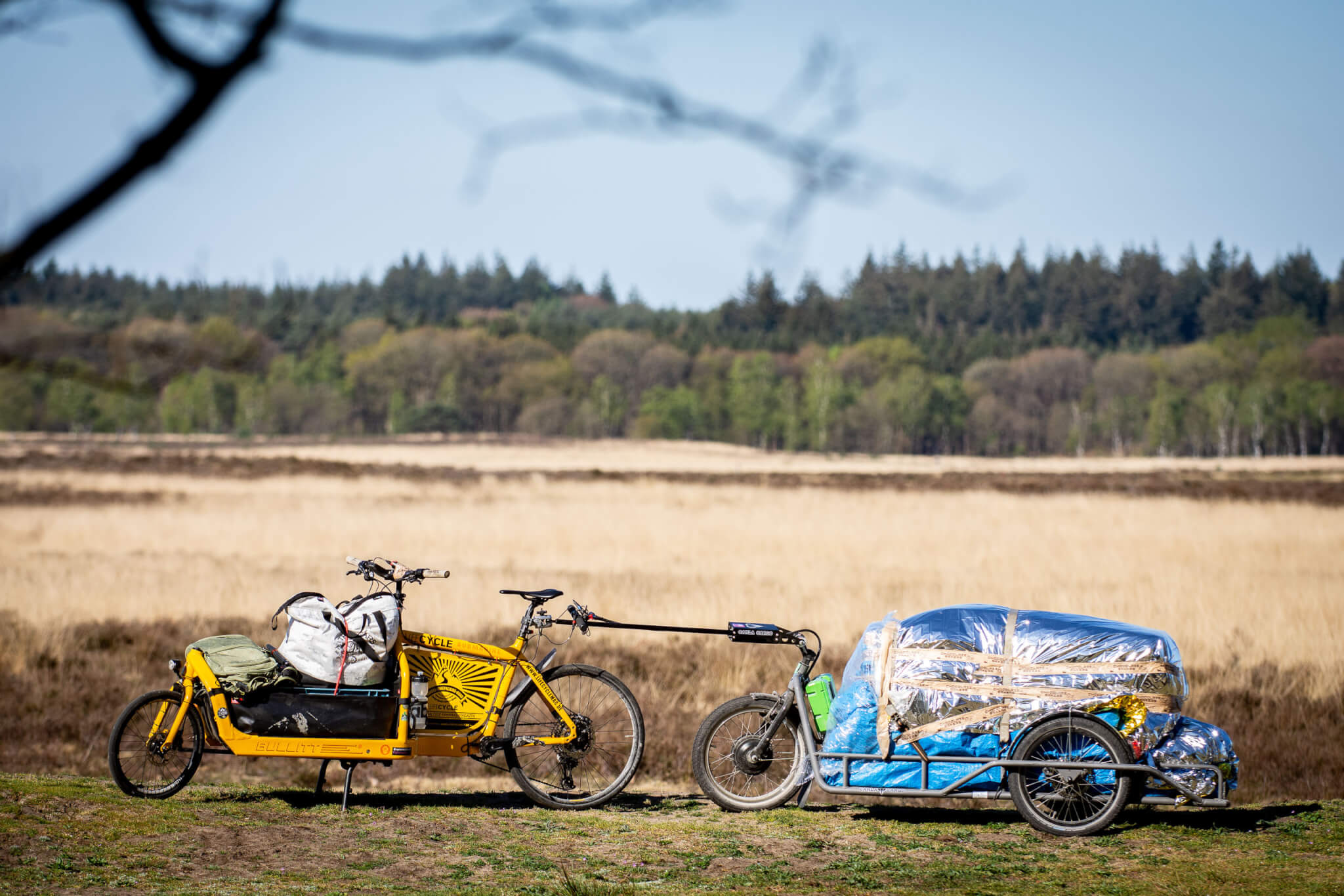 Lasten Fahrradanhanger Test