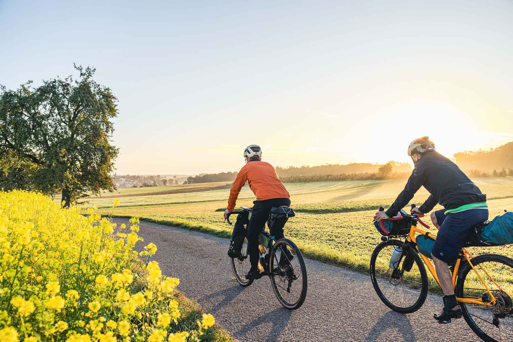 Zwei gravelbiker radeln auf einem schönen radweg an einem rapsfeld entlang, die sonne strahl, es herrscht eine angenehme stimmung.